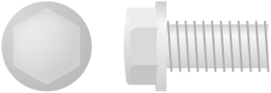 Hex Head Flange Bolt Small (10Pk) APICO 