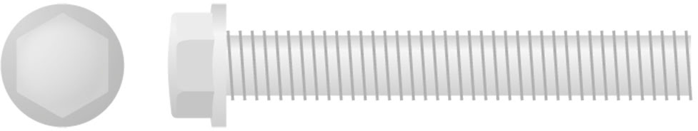 Hex Head Flange Bolt Small (10Pk) APICO 