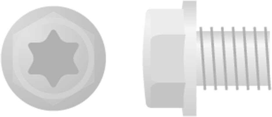 Parafuso Sextavado & Torx c / Flange (10un) APICO 