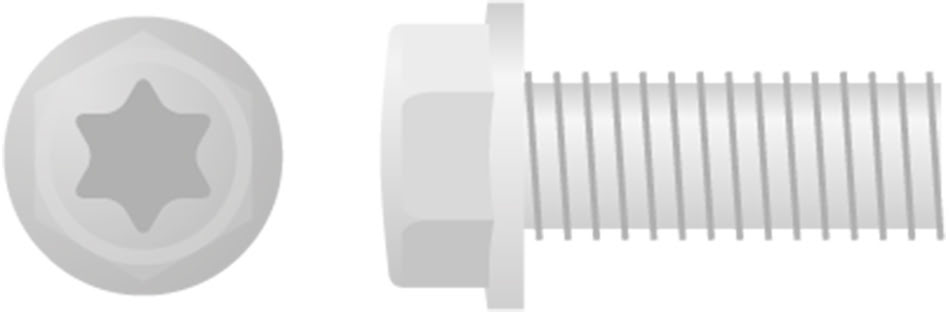 Parafuso Sextavado & Torx c / Flange (10un) APICO 