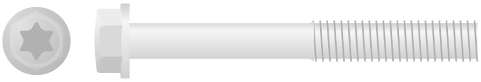 Parafuso Sextavado & Torx c / Flange (10un) APICO 