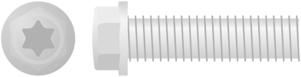 Parafuso Sextavado & Torx c / Flange (10un) APICO 