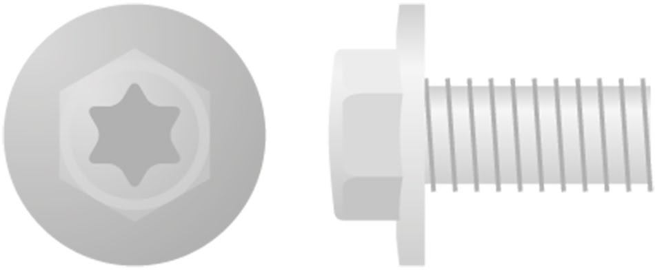 Parafuso Sextavado & Torx c / Flange Grande (10 / un) APICO 