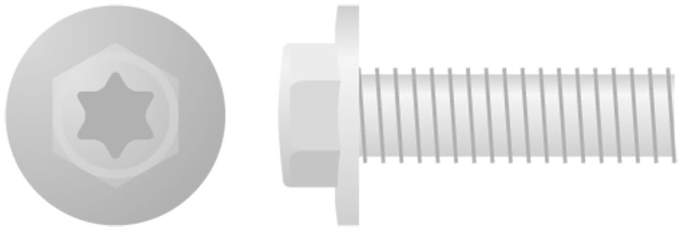 Parafuso Sextavado & Torx c / Flange Grande (10 / un) APICO 