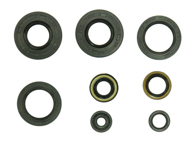 Kit de vedantes de motor NAMURA 