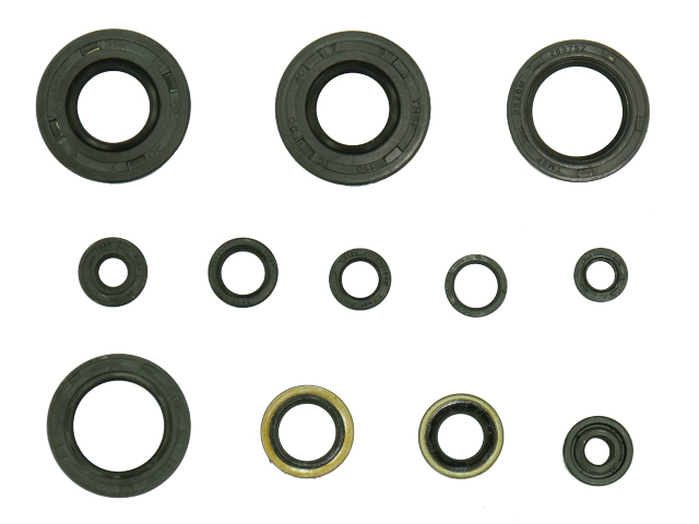 Engine Oil Seal Kit NAMURA 
