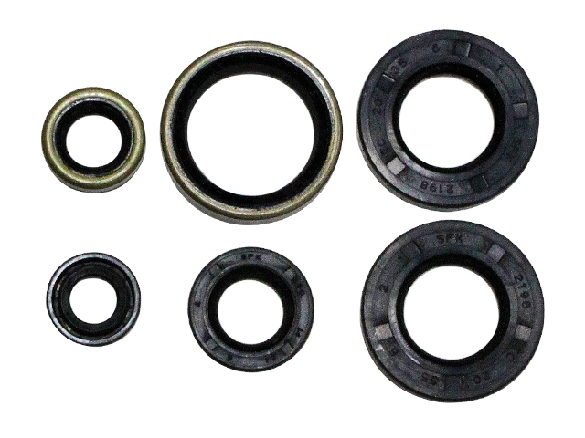 Kit de vedantes de motor NAMURA 