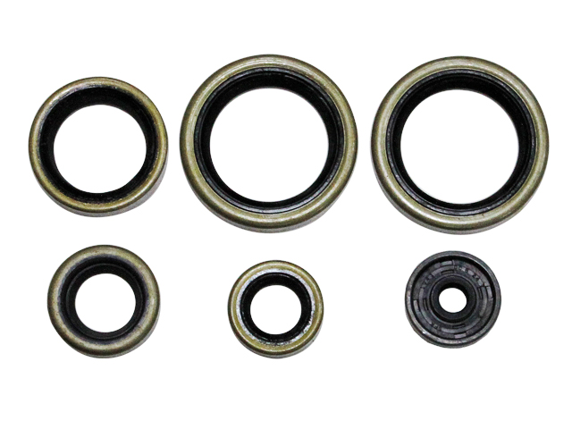 Engine Oil Seal Kit NAMURA 