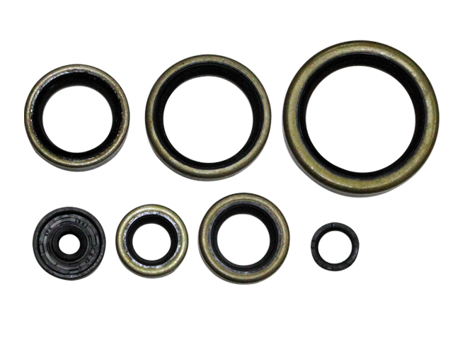 Engine Oil Seal Kit NAMURA 