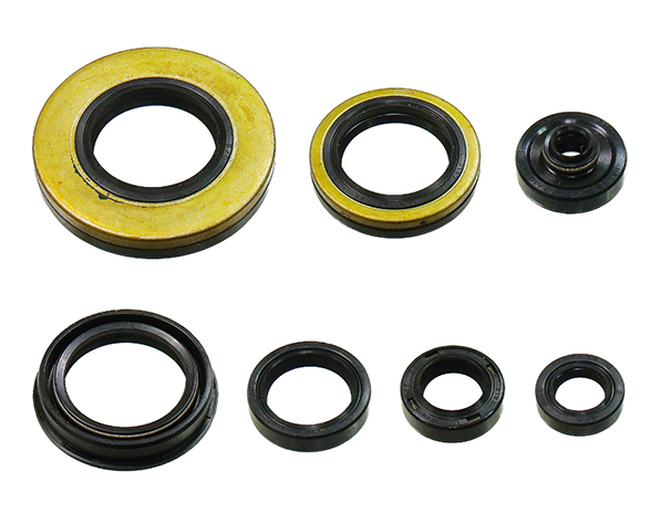 Engine Oil Seal Kit NAMURA 