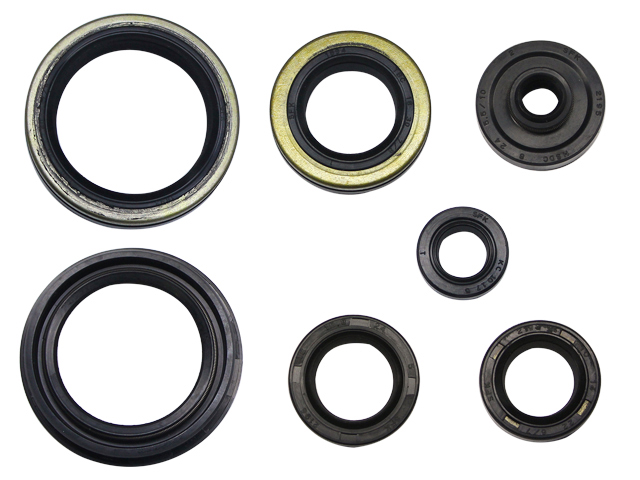 Engine Oil Seal Kit NAMURA 