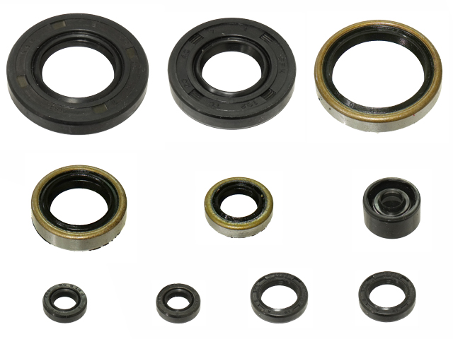 Engine Oil Seal Kit NAMURA 