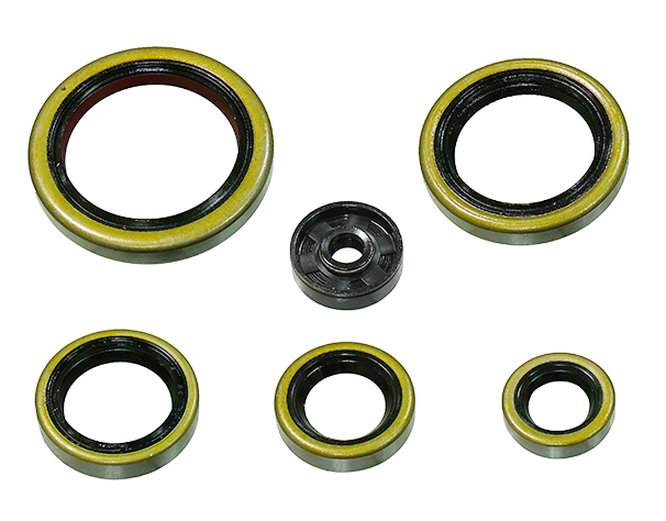 Engine Oil Seal Kit NAMURA 