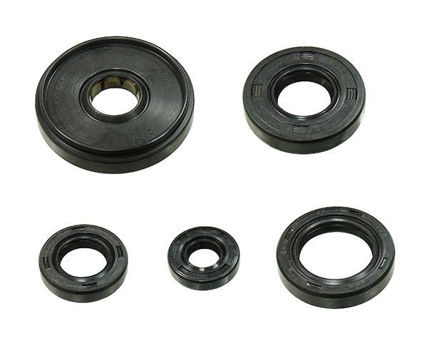 Kit de vedantes de motor NAMURA 