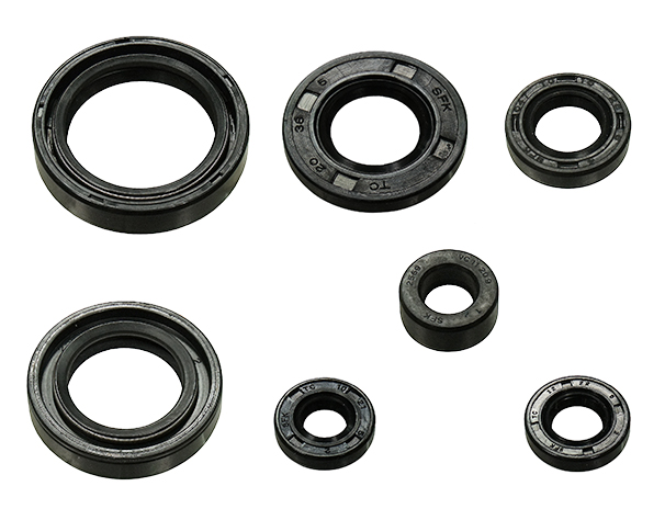 Engine Oil Seal Kit NAMURA 