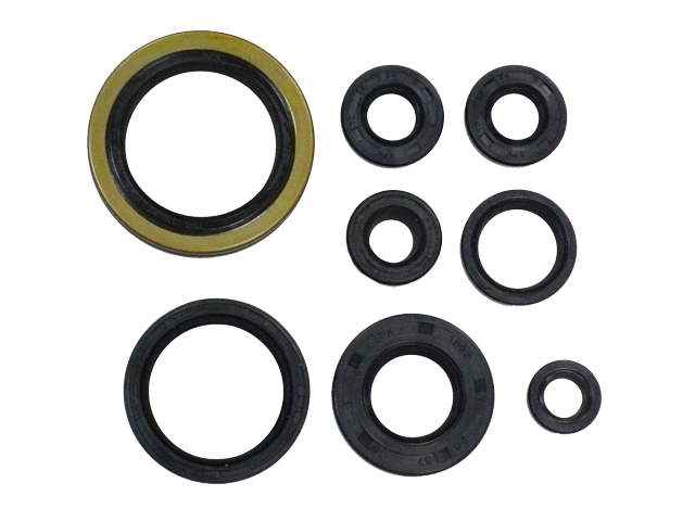 Kit de vedantes de motor NAMURA 