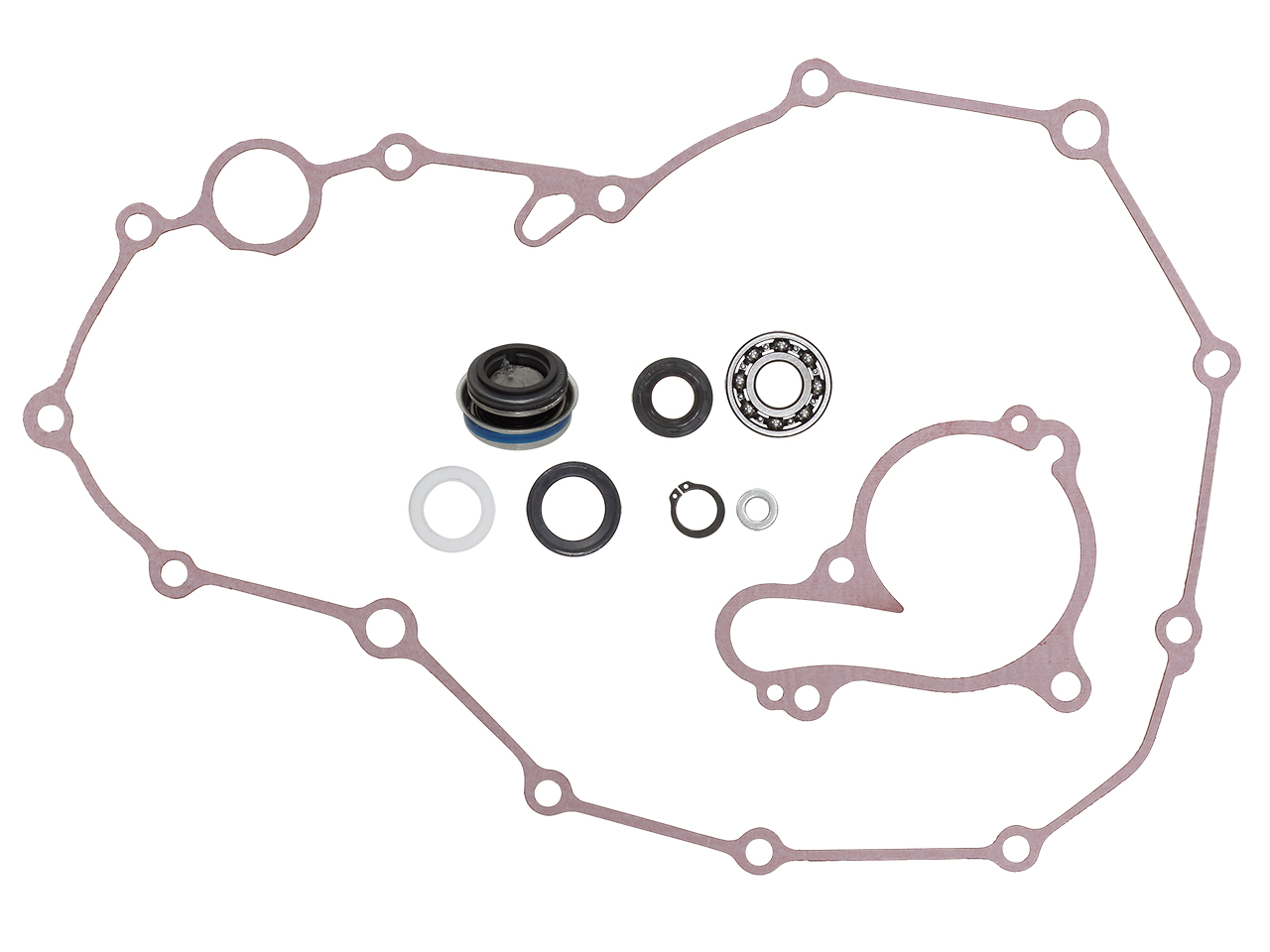 Kit bomba de agua RACEPRO 