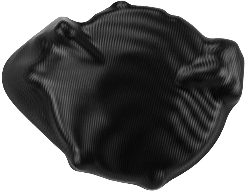 IGNITION CASE SAVER MONTESA 4RT, 300RR, 301RR, REPSOL 05-25 APICO 