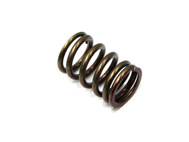 Engine Valve Spring NAMURA 