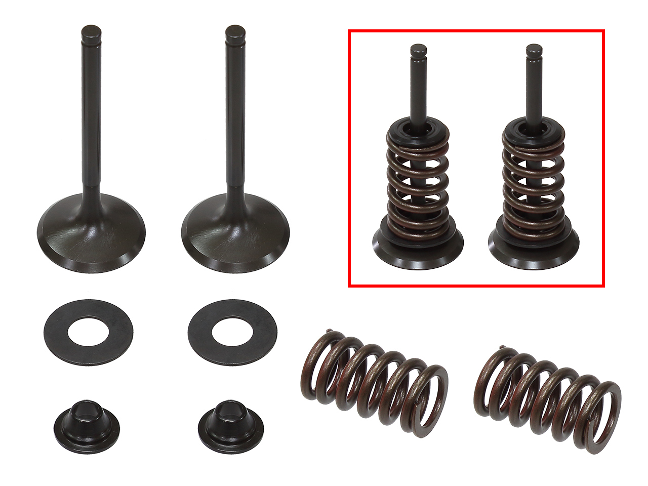 Complete Exhaust Valve Kit NAMURA 