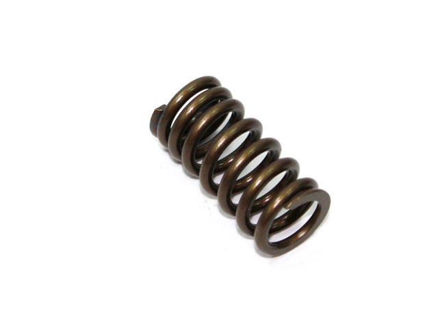 Engine Valve Spring NAMURA 