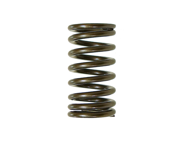 Engine Valve Spring NAMURA 