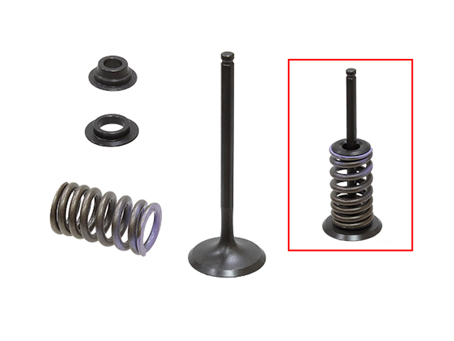 Complete Intake Valve Kit NAMURA 