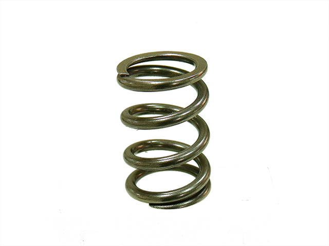 Engine Valve Spring NAMURA 