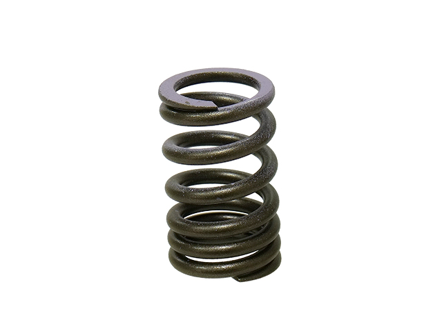 Engine Valve Spring NAMURA 