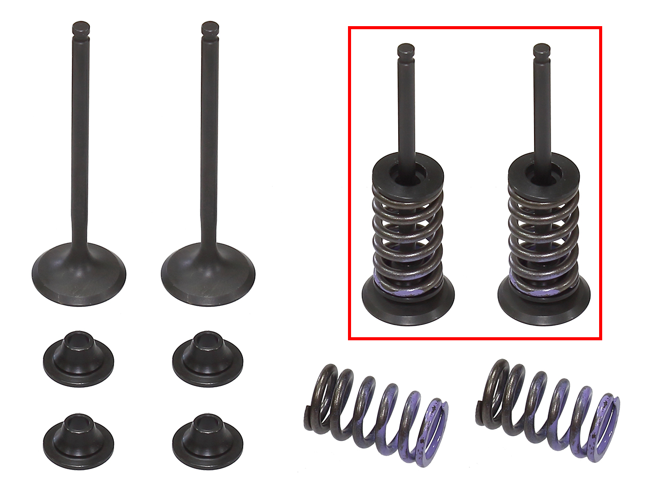 Complete Exhaust Valve Kit NAMURA 