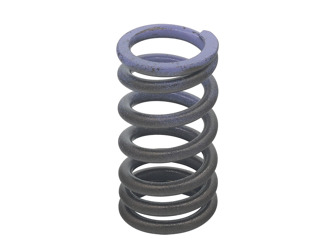 Engine Valve Spring NAMURA 
