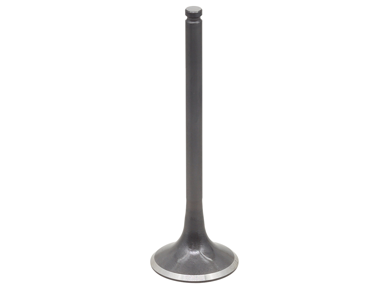 Valvula de Motor Aço (Escape) NAMURA 