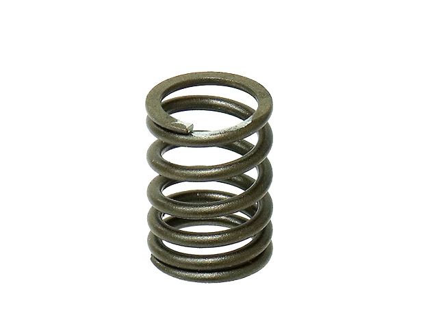 Engine Valve Spring NAMURA 