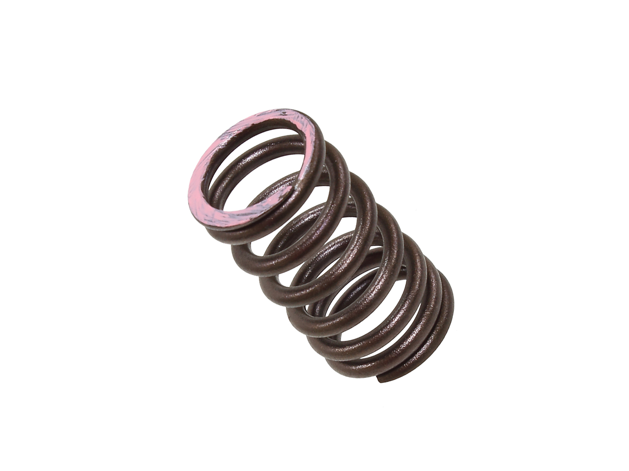 Engine Valve Spring NAMURA 