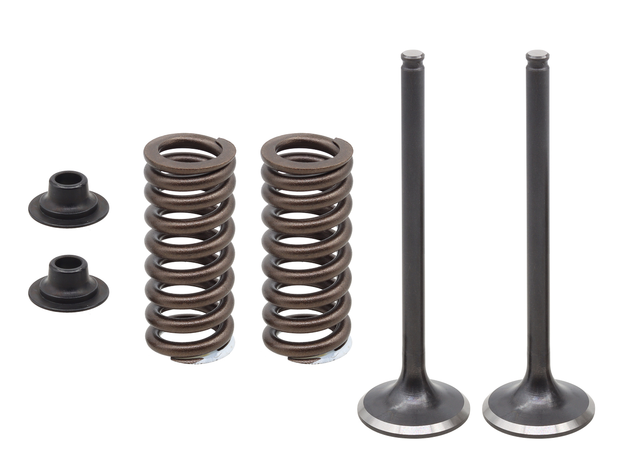 Complete Exhaust Valve Kit NAMURA 