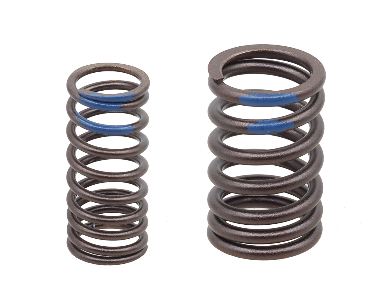 Engine Valve Spring NAMURA 